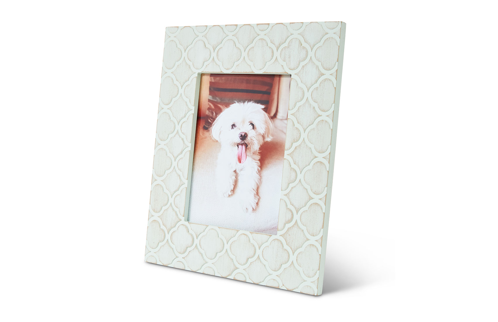 6x8 Mint Carved Damask Frame