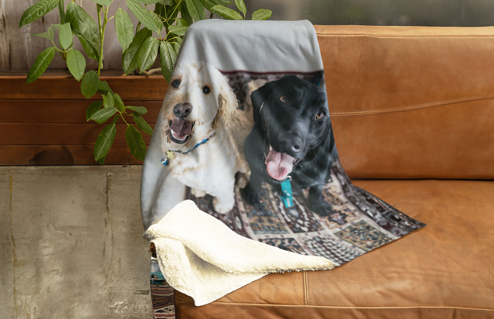 50x60 Sherpa Blanket