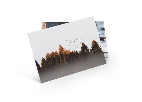 Post Card Prints